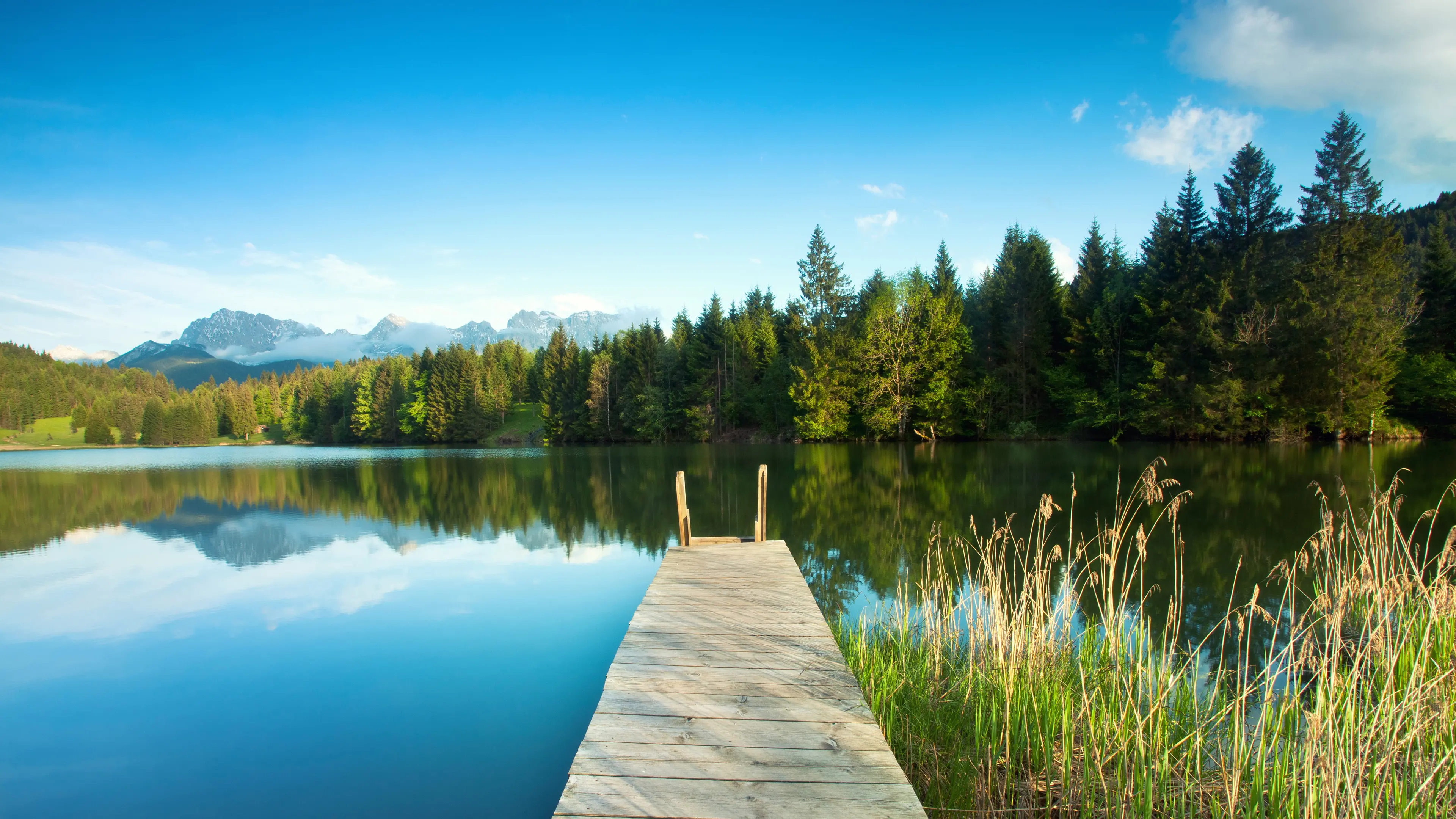 landscape_16.jpg