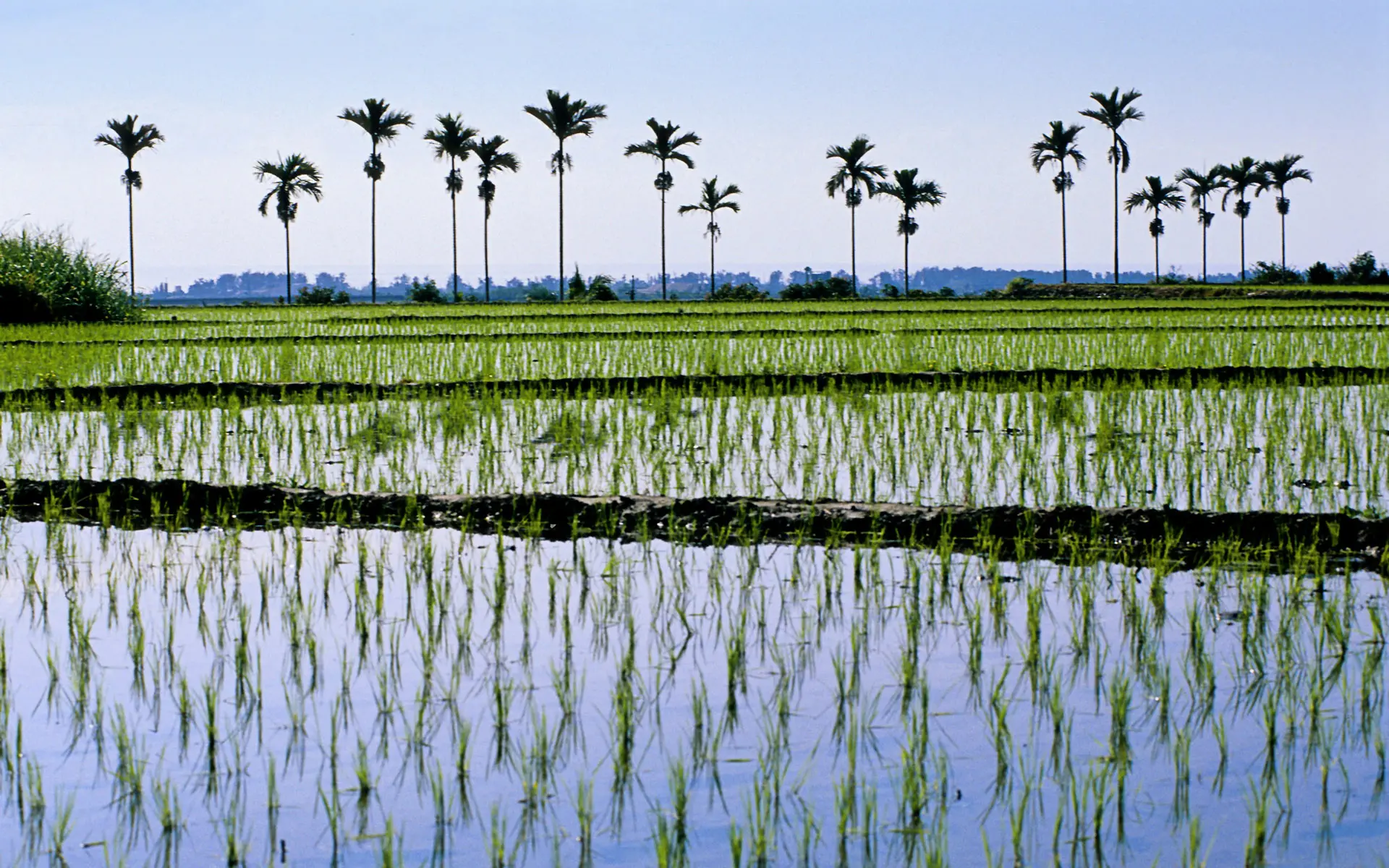 landscape_19.jpg
