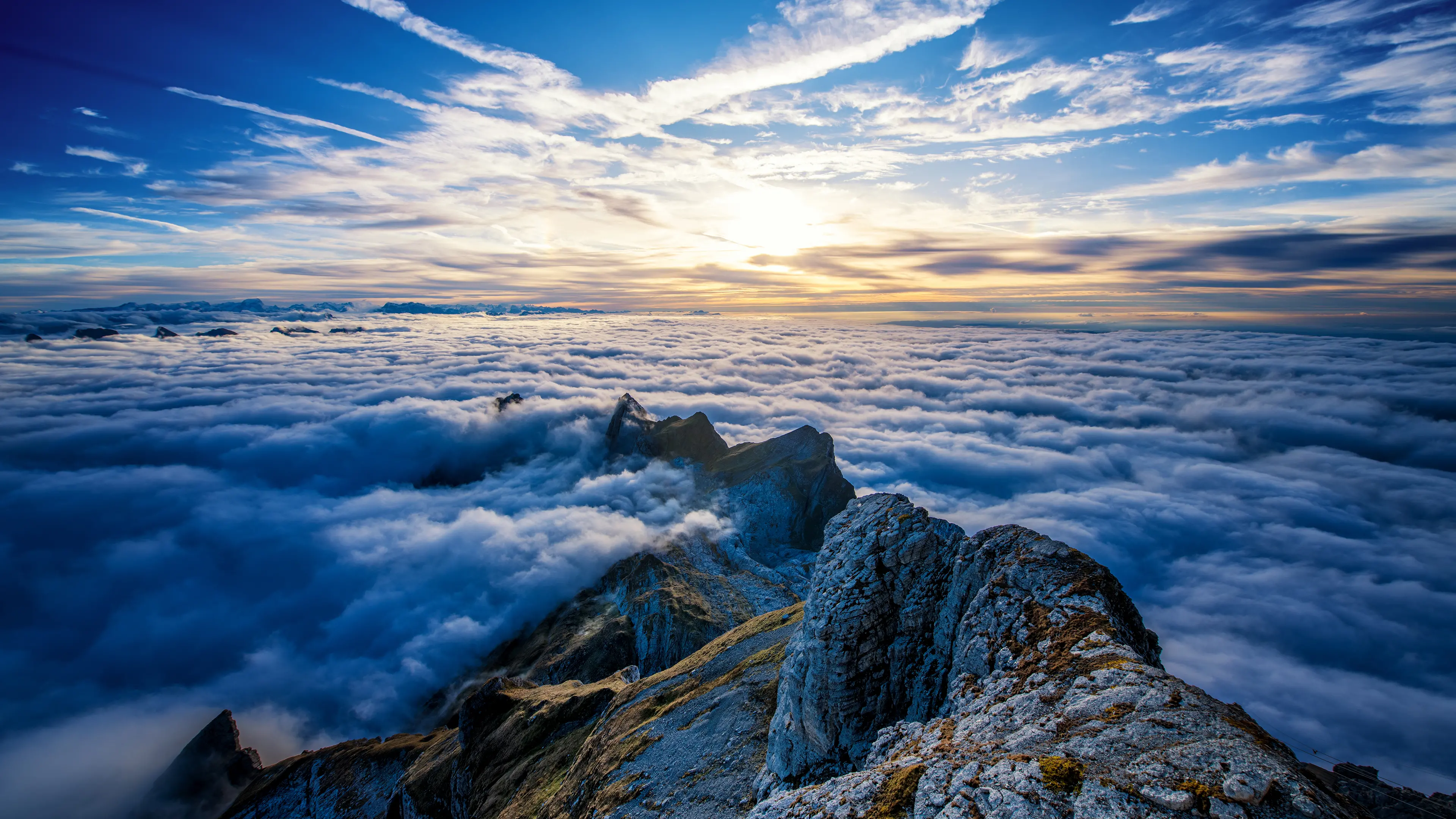 landscape_3.jpg