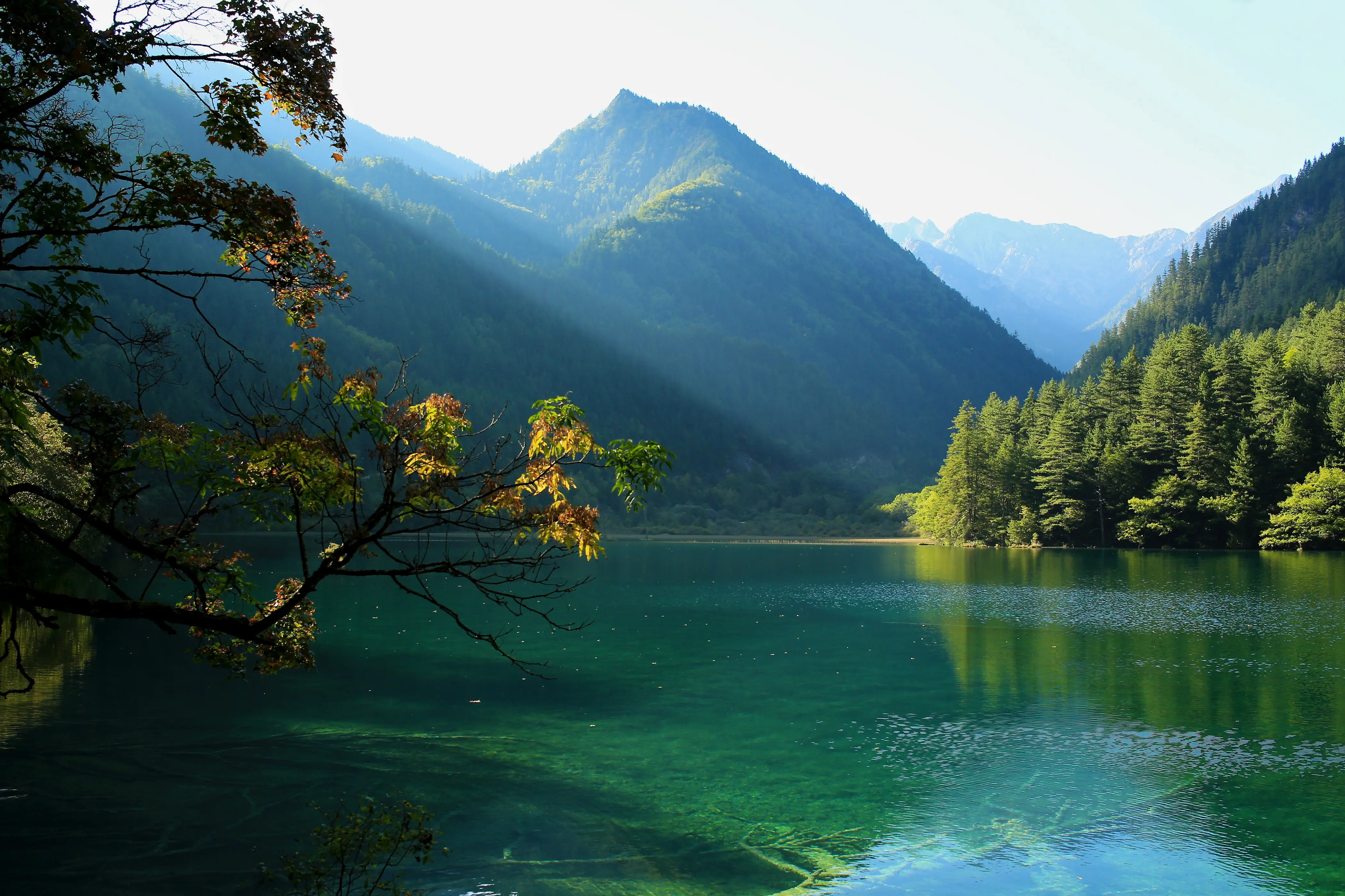 landscape_35.jpg