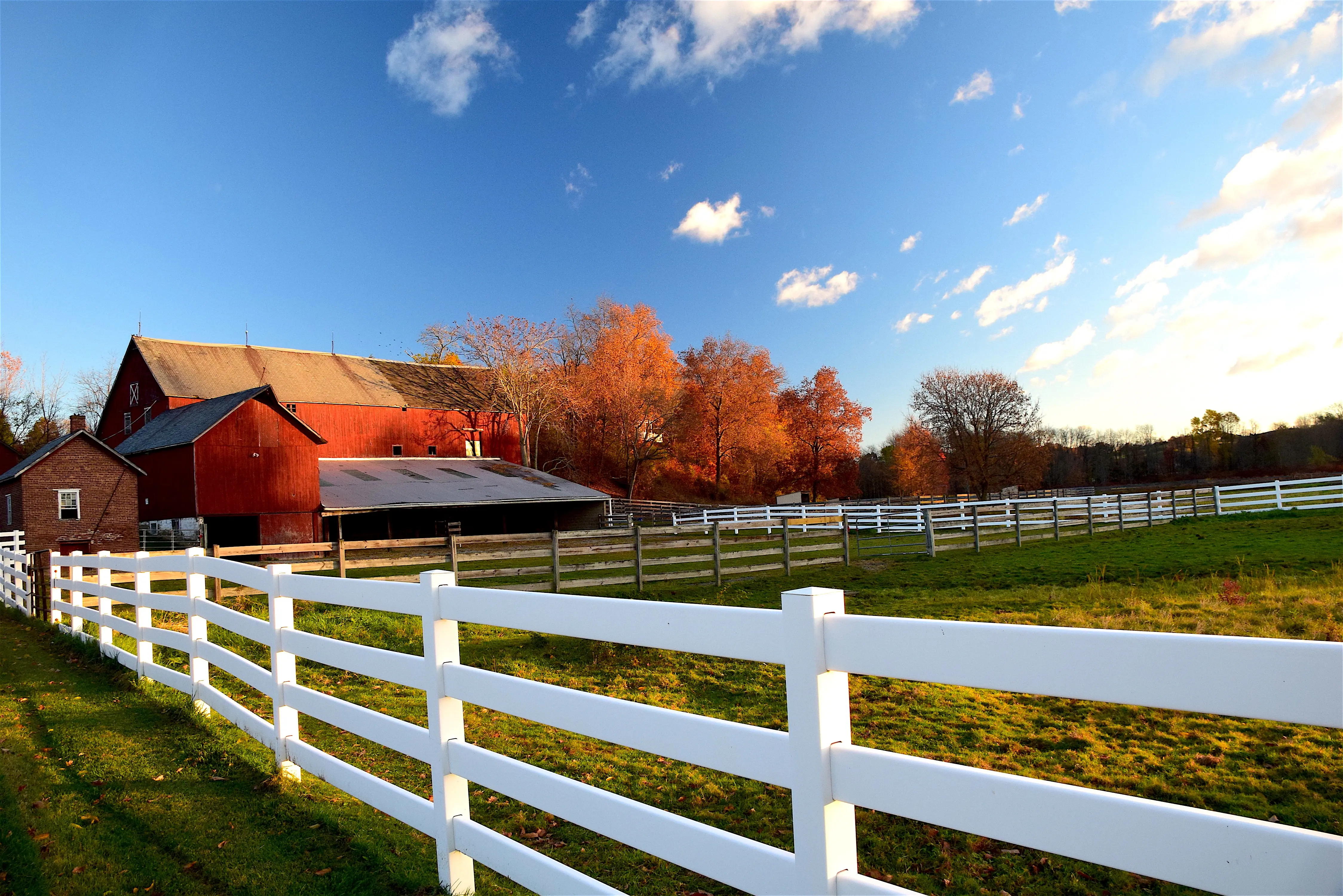 landscape_38.jpg