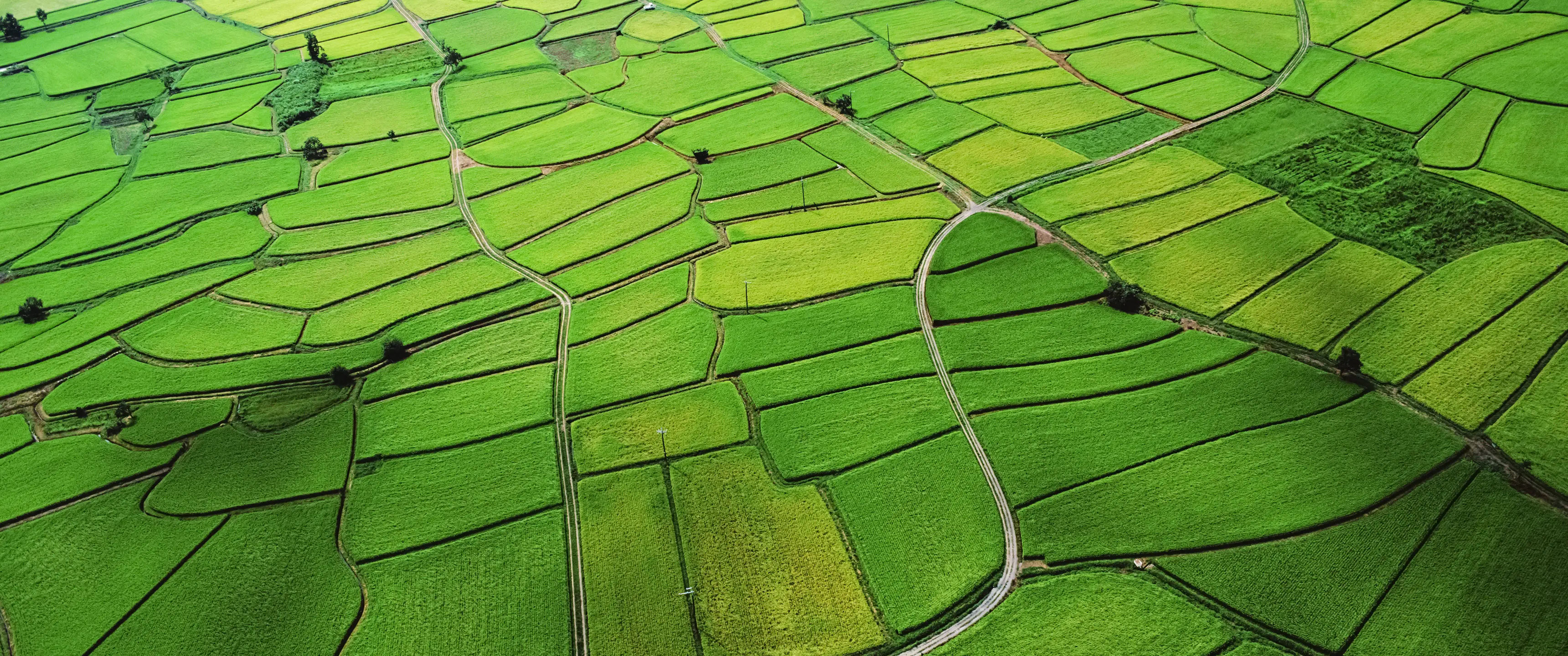 landscape_39.jpg