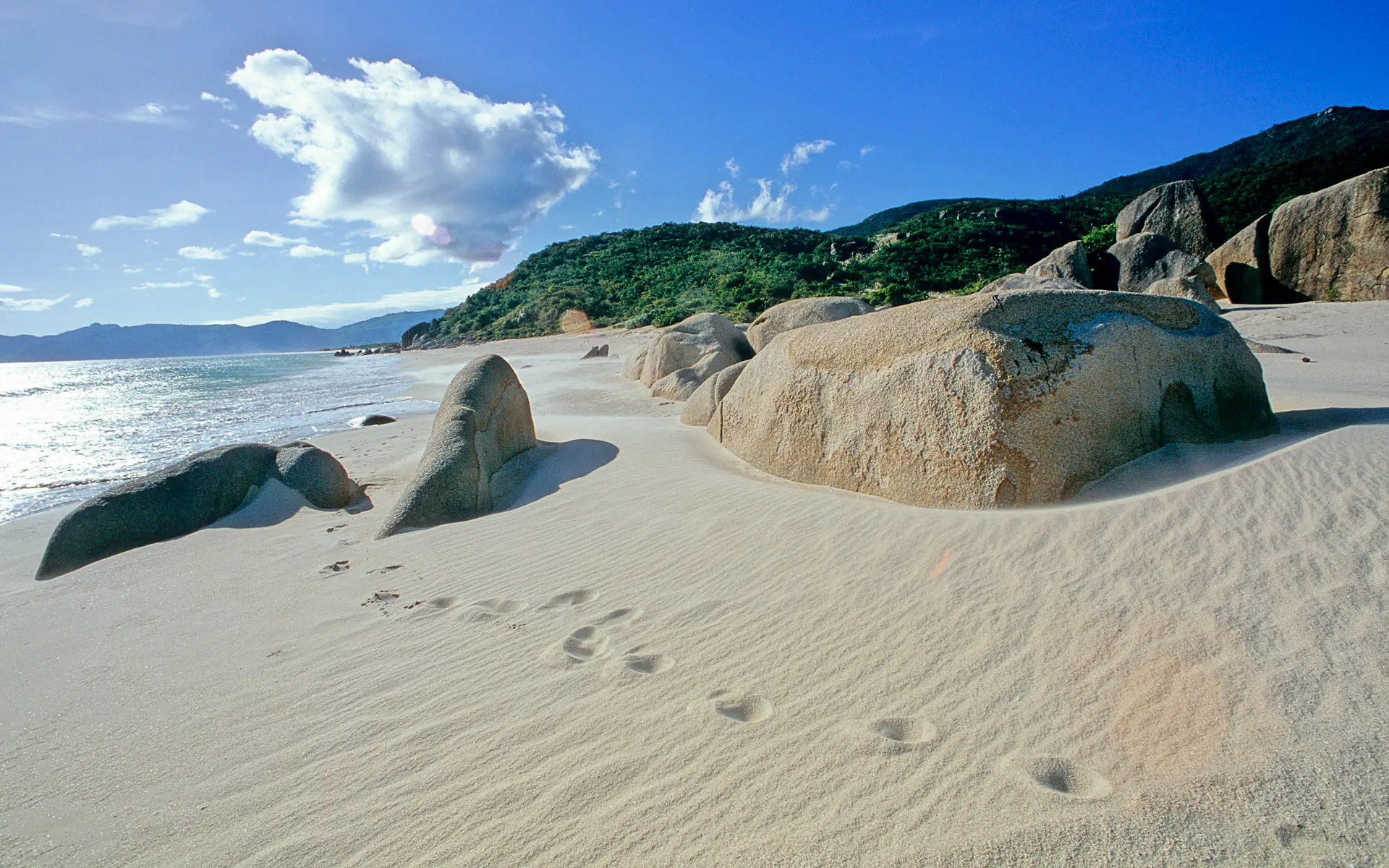 landscape_56.jpg