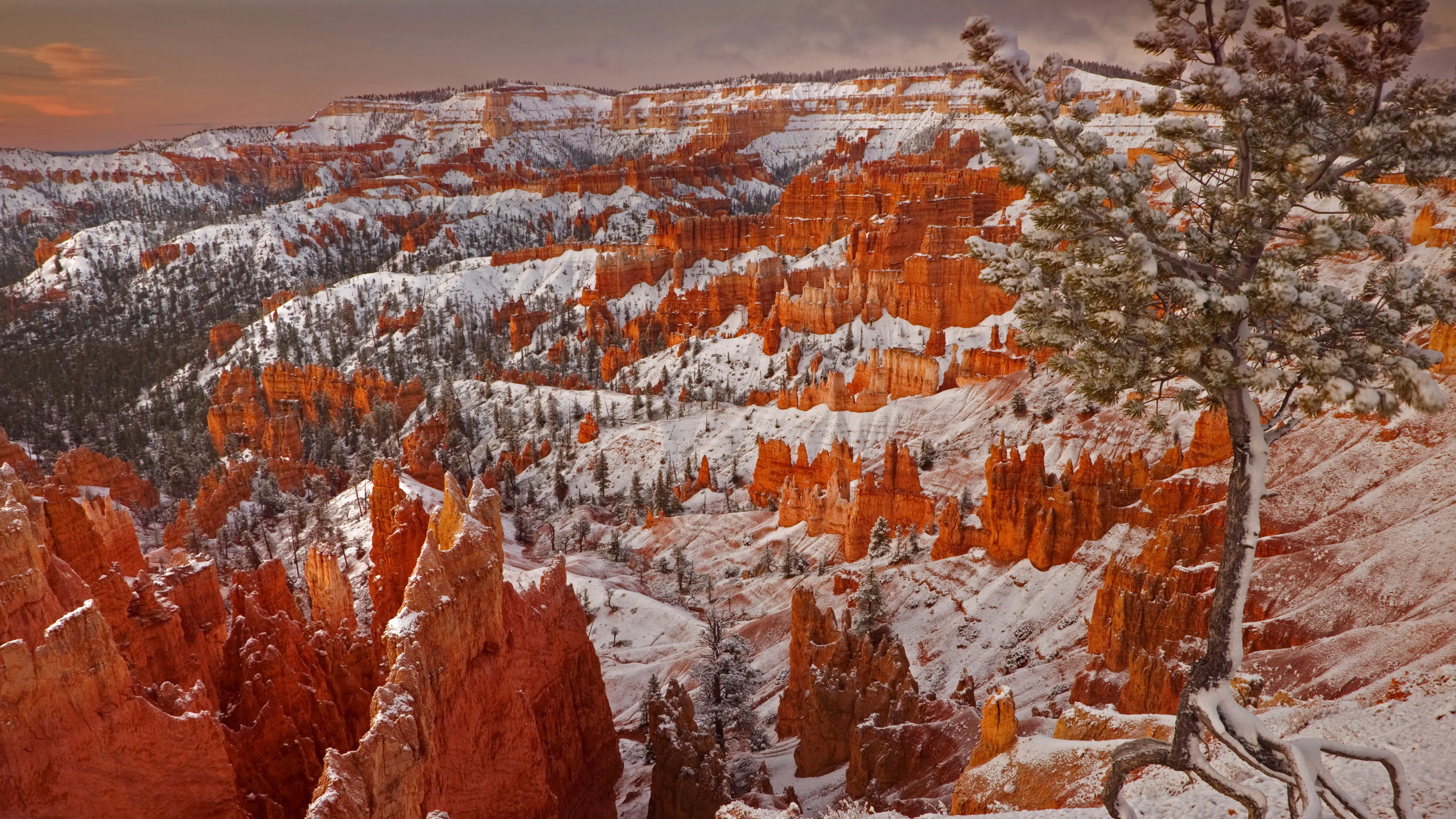 landscape_7.jpg