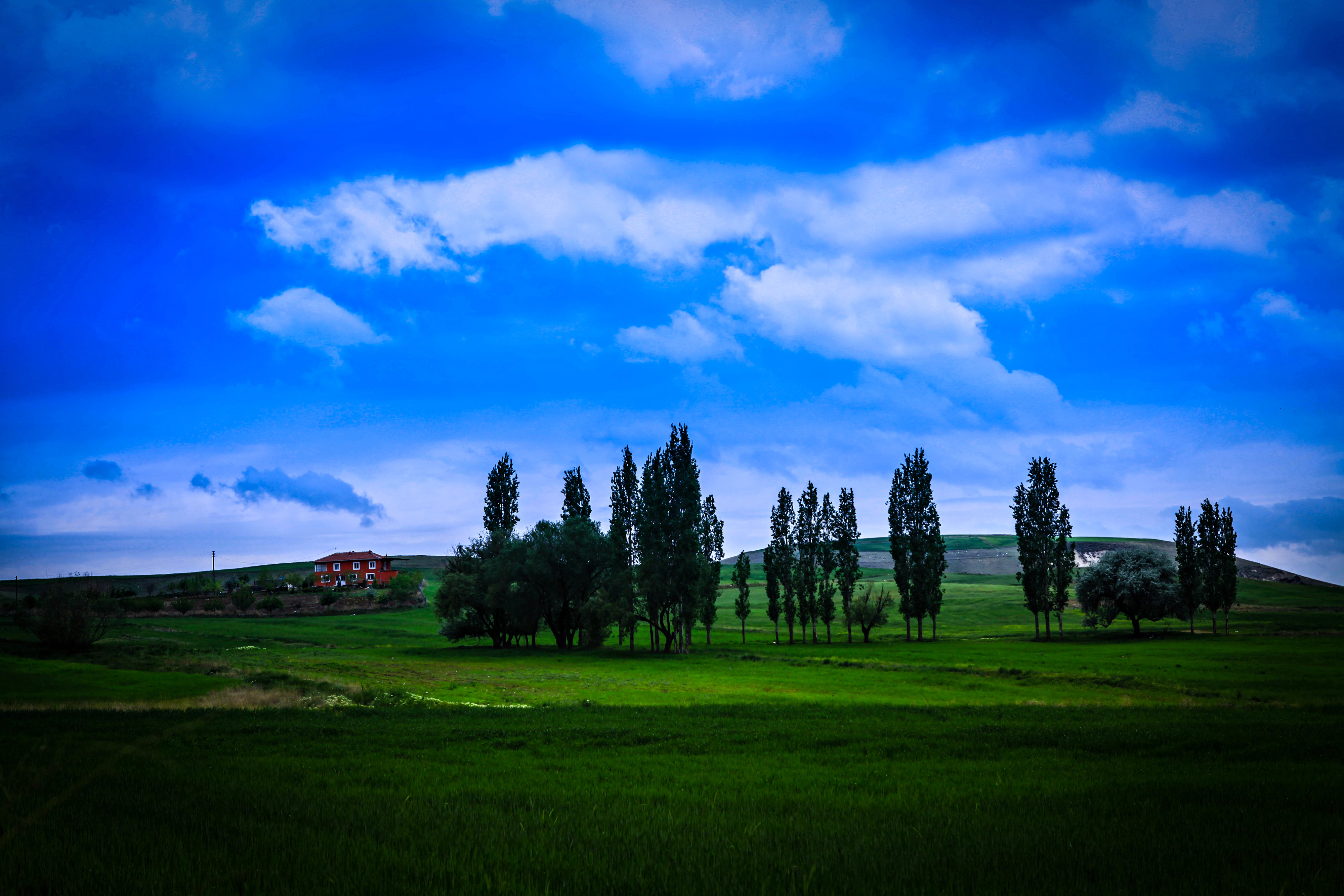 landscape_70.jpg
