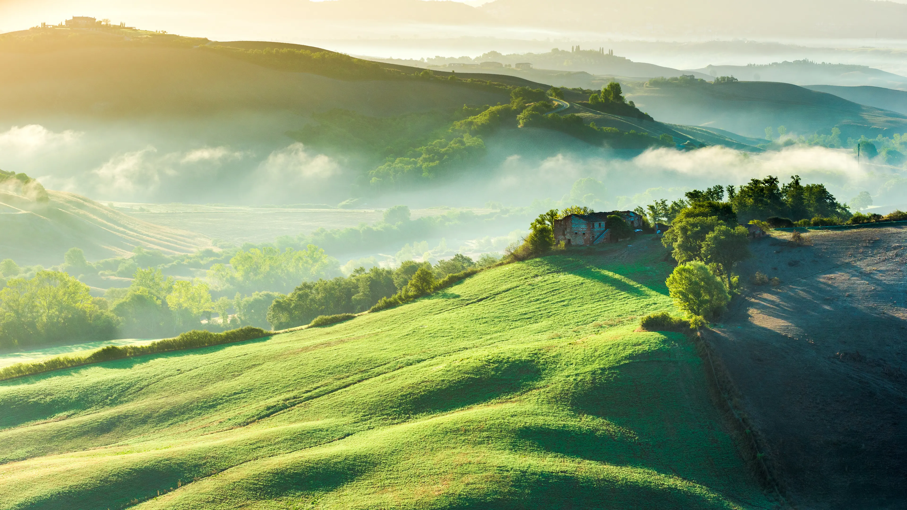 landscape_71.jpg