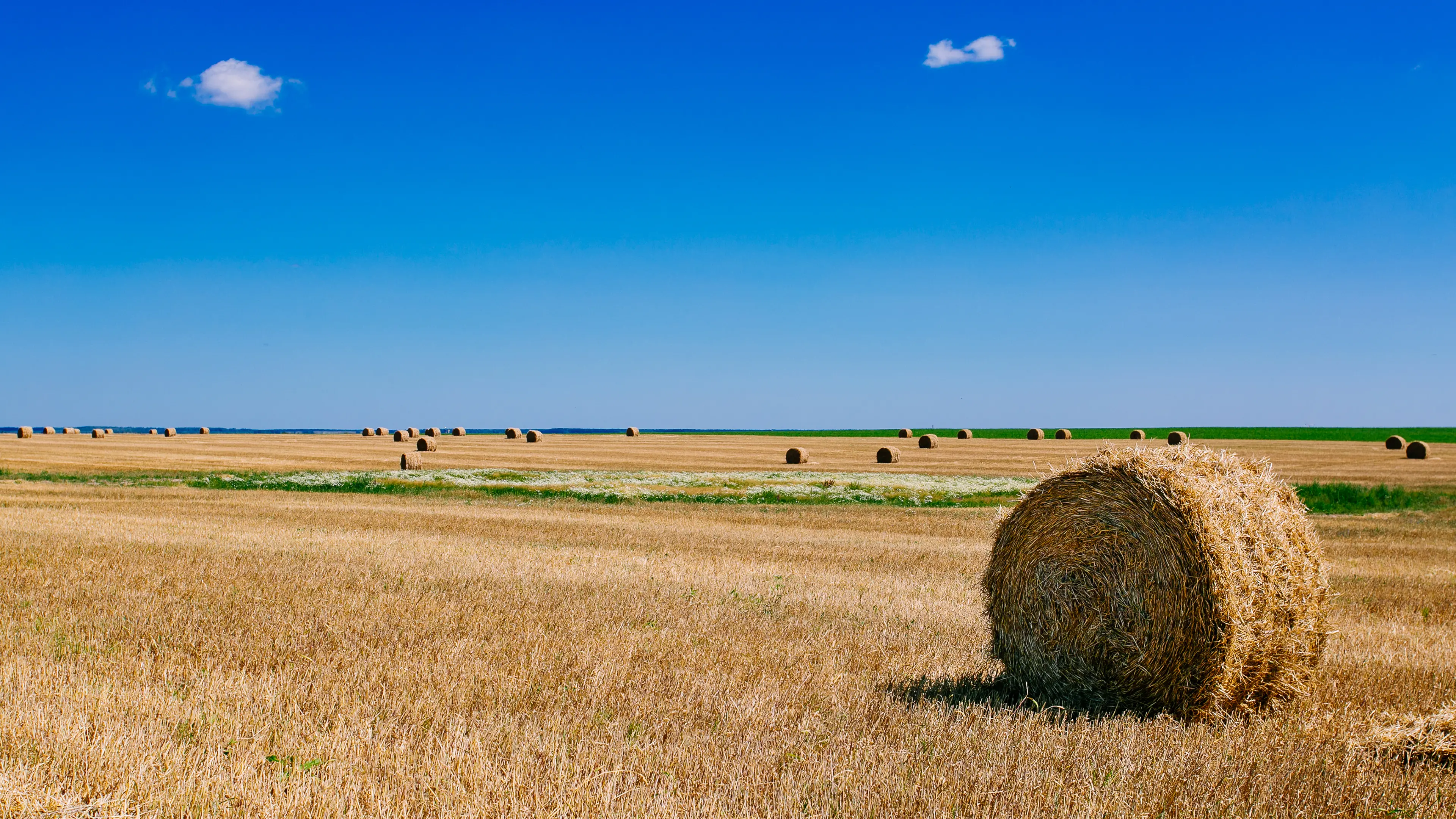 landscape_73.jpg