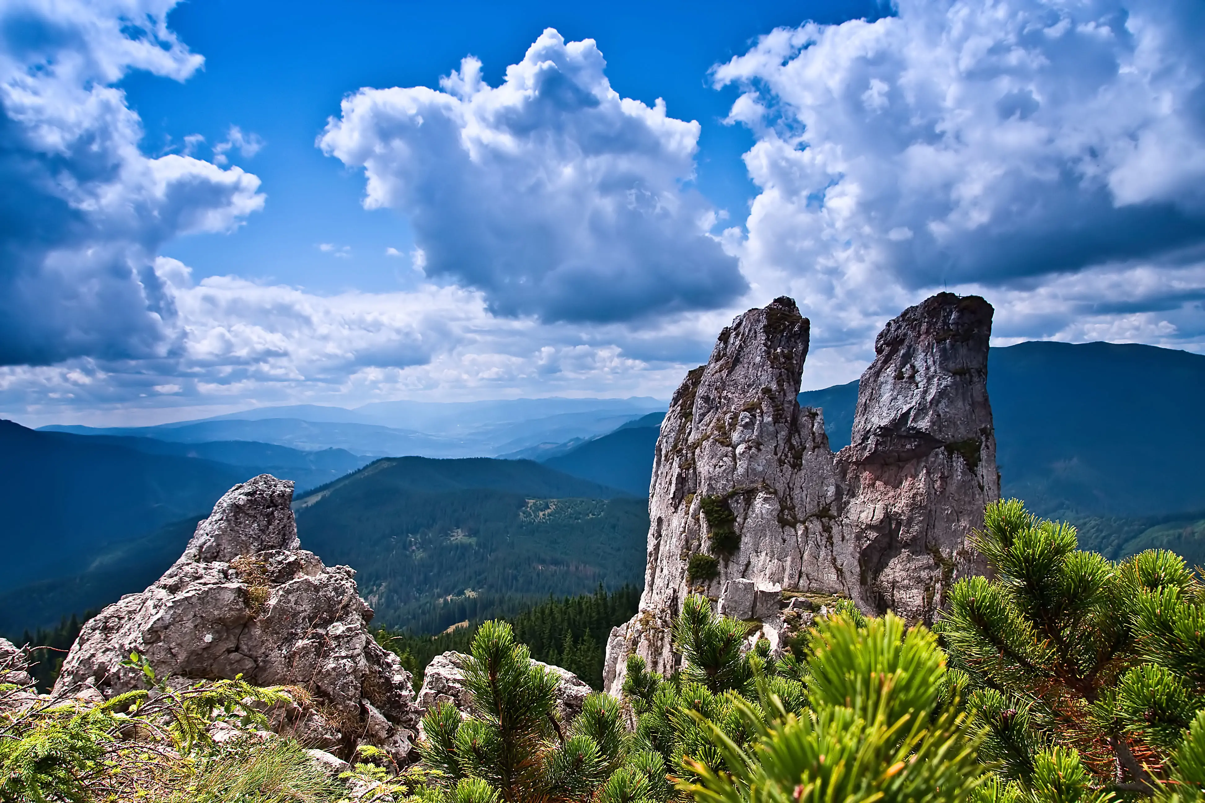 landscape_8.jpg