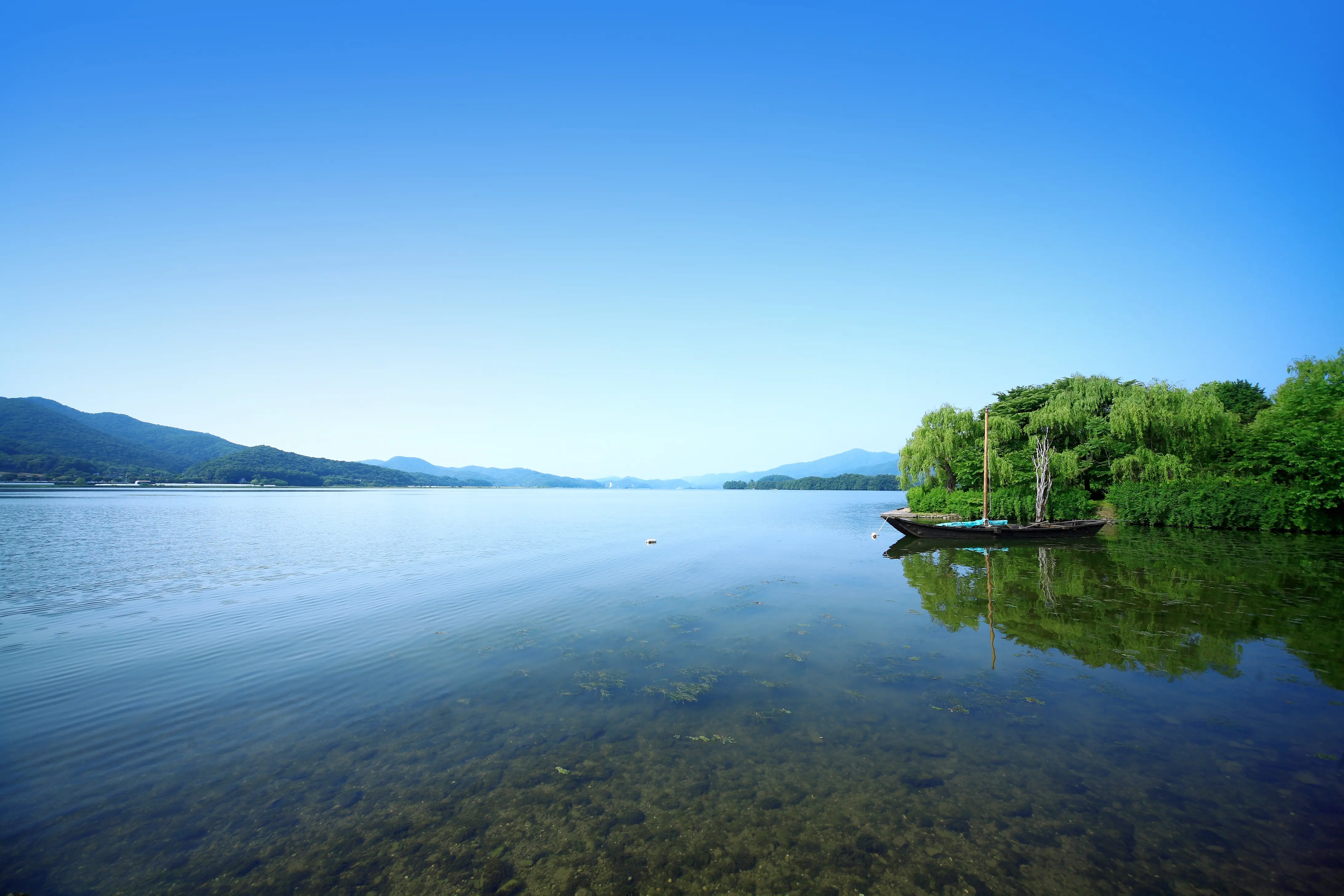landscape_85.jpg
