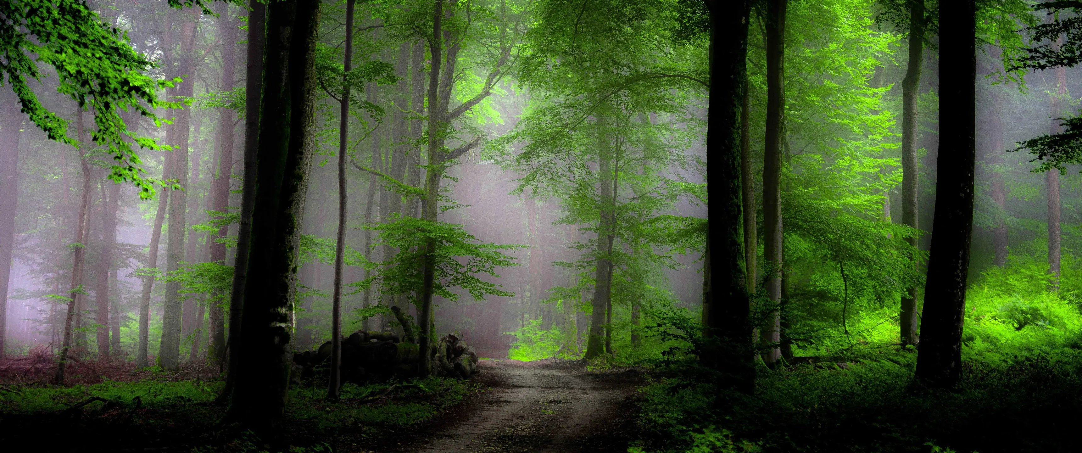landscape_90.jpg
