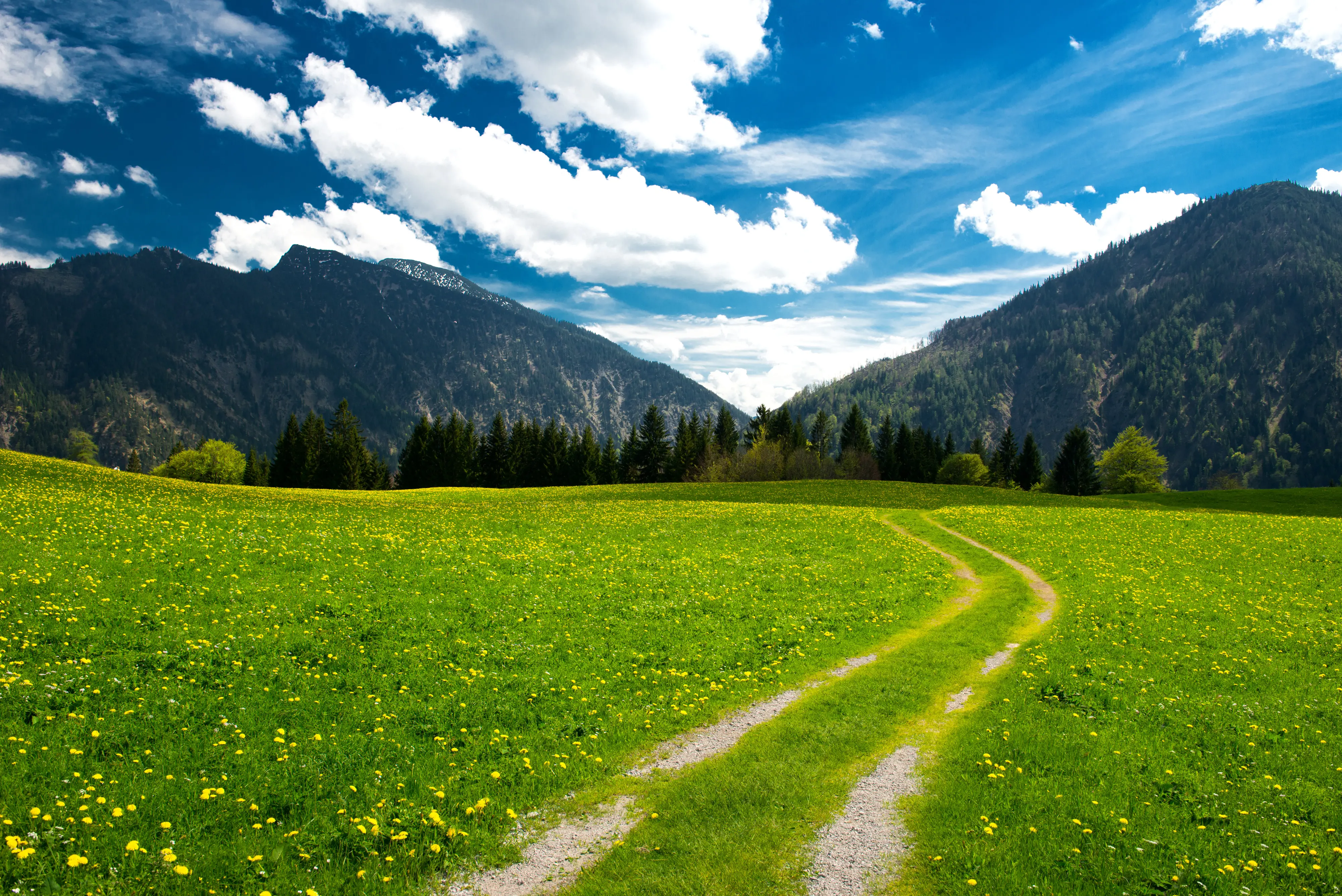 landscape_94.jpg