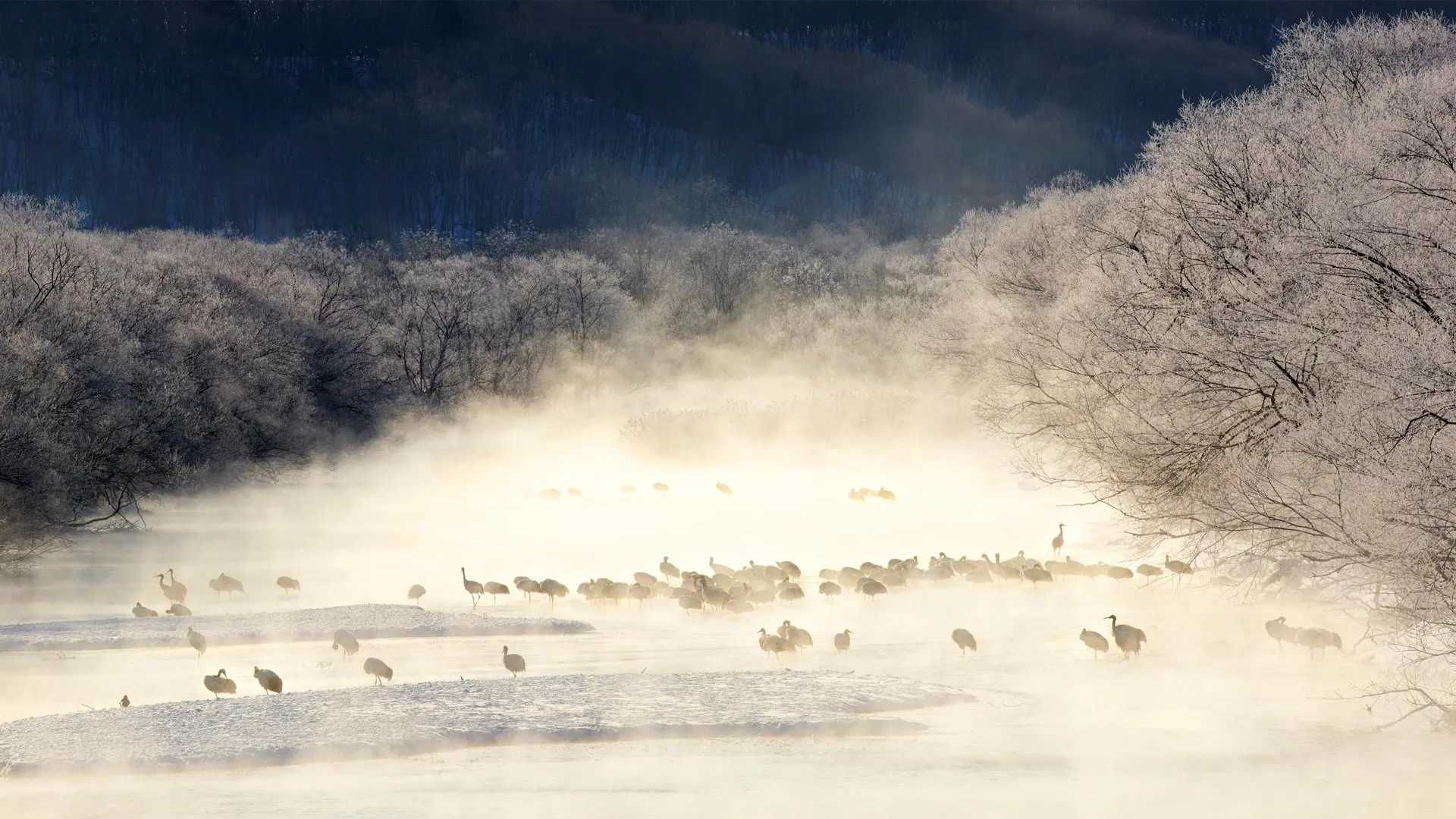 landscape_95.jpg